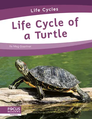 Lebenszyklus einer Schildkröte - Life Cycle of a Turtle