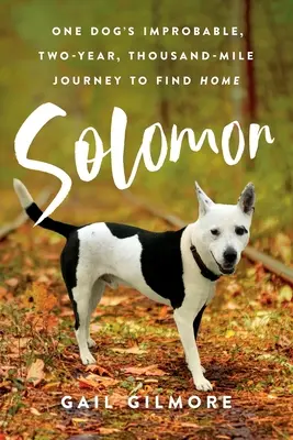 Salomo: Die unwahrscheinliche Reise eines Hundes über zwei Jahre und Tausend Meilen nach Hause - Solomon: One Dog's Improbable, Two-year, Thousand-mile Journey to Find Home