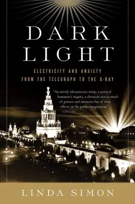 Dunkles Licht: Elektrizität und Angst vom Telegraphen bis zum Röntgenstrahl - Dark Light: Electricity and Anxiety from the Telegraph to the X-Ray