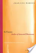 Im Übermaß: Studien über gesättigte Phänomene - In Excess: Studies of Saturated Phenomena