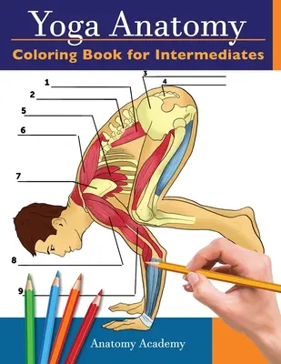 Yoga-Anatomie-Malbuch für Fortgeschrittene: 50+ Unglaublich detaillierter Selbsttest Yoga-Posen für Fortgeschrittene Farbiges Arbeitsbuch Perfektes Geschenk für Yoga-Lehrer - Yoga Anatomy Coloring Book for Intermediates: 50+ Incredibly Detailed Self-Test Intermediate Yoga Poses Color workbook Perfect Gift for Yoga Instructo