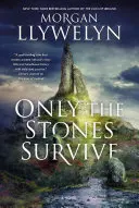 Nur die Steine überleben: Ein Roman über die alten Götter und Göttinnen der irischen Mythen und Legenden - Only the Stones Survive: A Novel of the Ancient Gods and Goddesses of Irish Myth and Legend