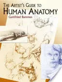 Der Künstlerführer zur menschlichen Anatomie - The Artist's Guide to Human Anatomy