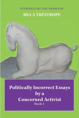 Politisch unkorrekte Essays eines besorgten Aktivisten: Buch 1 - Politically Incorrect Essays by a Concerned Activist: Book 1