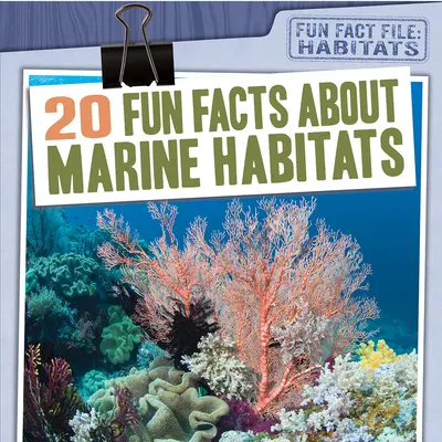 20 wissenswerte Fakten über marine Lebensräume - 20 Fun Facts about Marine Habitats