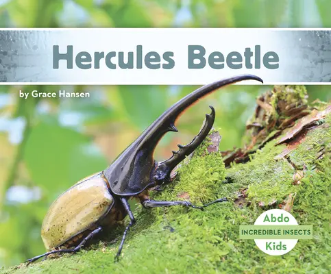 Herkuleskäfer - Hercules Beetle