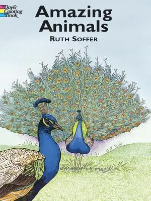 Amazing Animals Malbuch - Amazing Animals Coloring Book