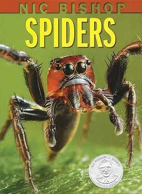 Nic Bishop: Spinnen - Nic Bishop: Spiders