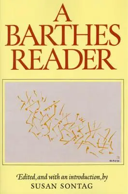 Ein Barthes-Lesebuch - A Barthes Reader