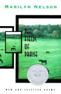 Felder des Lobes: Neue und ausgewählte Gedichte - Fields of Praise: New and Selected Poems