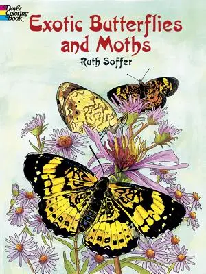 Exotische Schmetterlinge und Motten als Malbuch - Exotic Butterflies and Moths Coloring Book