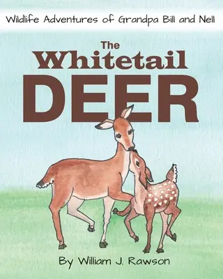 Der Weißwedelhirsch - The Whitetail Deer