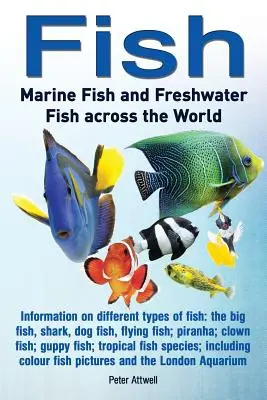 Fisch: Meeresfische und Süßwasserfische auf der ganzen Welt: Informationen über verschiedene Fischarten: Der große Fisch, Hai, Hundefisch - Fish: Marine Fish and Freshwater Fish Across the World: Information on Different Types of Fish: The Big Fish, Shark, Dog Fis