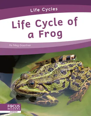 Lebenszyklus eines Frosches - Life Cycle of a Frog