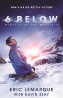 6 Unten: Das Wunder auf dem Berg - 6 Below: Miracle on the Mountain