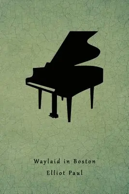 Überfallen in Boston: (ein Homer Evans-Krimi) - Waylaid in Boston: (a Homer Evans Mystery)