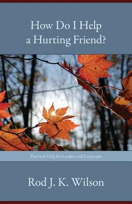 Wie kann ich einem verletzten Freund helfen? - How Do I Help a Hurting Friend?