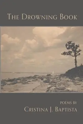 Das ertrinkende Buch - The Drowning Book