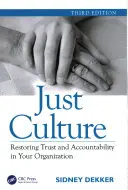 Gerechte Kultur: Wiederherstellung von Vertrauen und Verantwortlichkeit in Ihrer Organisation, dritte Auflage - Just Culture: Restoring Trust and Accountability in Your Organization, Third Edition