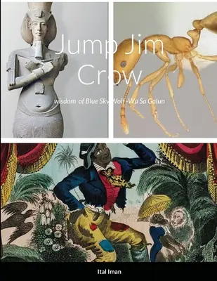 Jump Jim Crow: Die Weisheit der Crow Nation of Blue Sky Wolf - Jump Jim Crow: wisdom of Crow Nation of Blue Sky Wolf