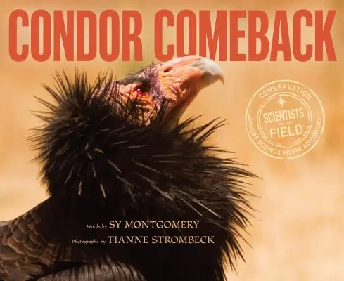 Kondor-Comeback - Condor Comeback