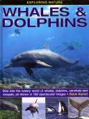 Die Natur erforschen: Wale und Delfine: Tauchen Sie ein in die Wasserwelt der Wale, Delfine, Narwale und Rorquale, dargestellt in 190 spektakulären Bildern - Exploring Nature: Whales & Dolphins: Dive Into the Watery World of Whales, Dolphins, Narwhals and Rorquals, All Shown in 190 Spectacular Images