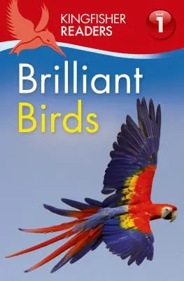 Kingfisher Readers L1: Brillante Vögel - Kingfisher Readers L1: Brilliant Birds