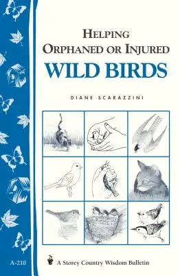 Hilfe für verwaiste oder verletzte Wildvögel: Storey's Country Wisdom Bulletin A-210 - Helping Orphaned or Injured Wild Birds: Storey's Country Wisdom Bulletin A-210