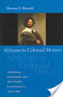 Afrikaner im kolonialen Mexiko: Absolutismus, Christentum und afro-kreolisches Bewusstsein, 1570-1640 - Africans in Colonial Mexico: Absolutism, Christianity, and Afro-Creole Consciousness, 1570-1640
