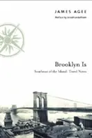 Brooklyn ist: Der Südosten der Insel: Reisenotizen - Brooklyn Is: Southeast of the Island: Travel Notes