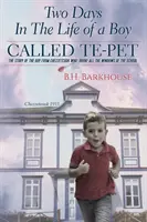 Zwei Tage im Leben eines Jungen namens Te-pet: Die Geschichte des Jungen aus Chezzetcook, der alle Fenster in der Schule einschlug - Two days in the life of a boy called Te-pet: The story of the boy from Chezzetcook who broke all the windows of the school