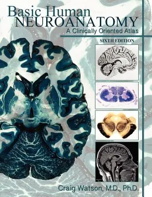 Grundlegende Neuroanatomie des Menschen: Ein klinisch orientierter Atlas - Basic Human Neuroanatomy: A Clinically Oriented Atlas