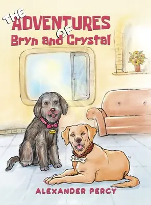 Die Abenteuer von Bryn und Crystal - The Adventures of Bryn and Crystal