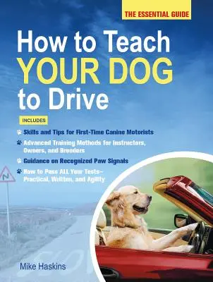 Wie Sie Ihrem Hund das Fahren beibringen: Der wesentliche Leitfaden - How to Teach Your Dog to Drive: The Essential Guide