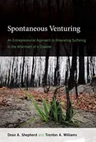 Spontane Unternehmungen: Ein unternehmerischer Ansatz zur Linderung des Leids nach einer Katastrophe - Spontaneous Venturing: An Entrepreneurial Approach to Alleviating Suffering in the Aftermath of a Disaster