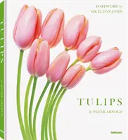 Tulpen - Tulips