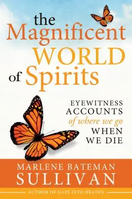 Die wunderbare Welt der Geister: Augenzeugenberichte darüber, wohin wir gehen, wenn wir sterben - The Magnificient World of Spirits: Eyewitness Accounts of Where We Go When We Die