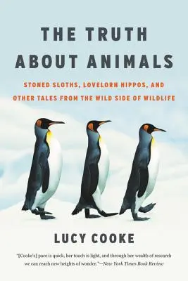 Die Wahrheit über Tiere: Bekiffte Faultiere, liebeskranke Nilpferde und andere Geschichten von der wilden Seite der Tierwelt - The Truth about Animals: Stoned Sloths, Lovelorn Hippos, and Other Tales from the Wild Side of Wildlife