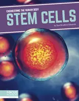 Stammzellen - Stem Cells