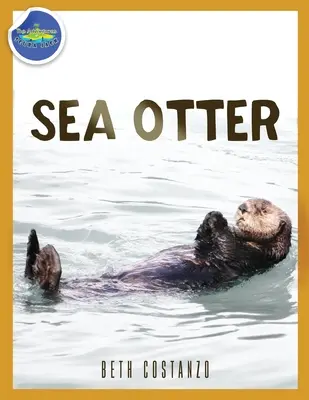 Seeotter 2-4 Jahre - Sea Otter ages 2-4