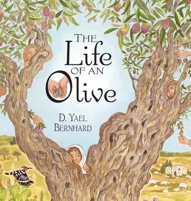 Das Leben einer Olive - The Life of an Olive