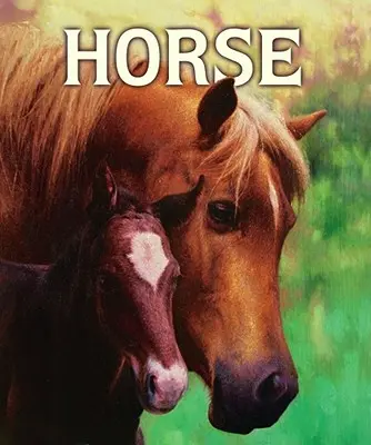 Pferd - Horse