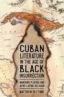 Kubanische Literatur im Zeitalter des schwarzen Aufstandes: Manzano, Plcido und die afro- lateinamerikanische Religion - Cuban Literature in the Age of Black Insurrection: Manzano, Plcido, and Afro-Latino Religion