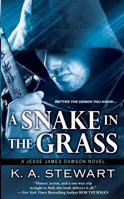 Eine Schlange im Gras - A Snake in the Grass