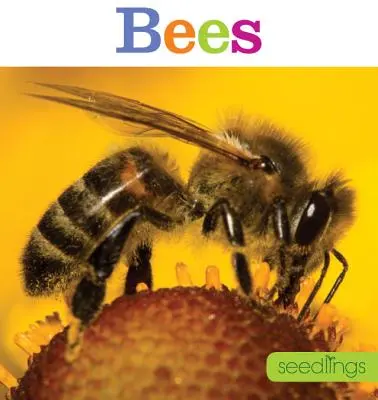 Setzlinge: Bienen - Seedlings: Bees