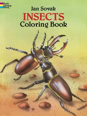 Insekten Malbuch - Insects Coloring Book