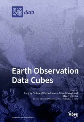 Datenwürfel zur Erdbeobachtung - Earth Observation Data Cubes