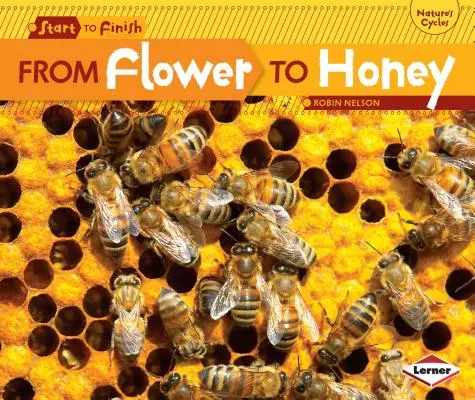 Von der Blume zum Honig - From Flower to Honey