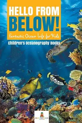 Hallo von unten! Fantastisches Meeresleben für Kinder - Kinderbücher zur Meereskunde - Hello from Below!: Fantastic Ocean Life for Kids - Children's Oceanography Books