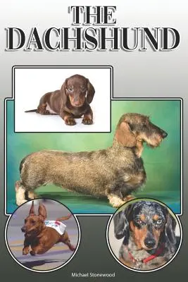Der Dackel: Ein vollständiger und umfassender Leitfaden für Dackelbesitzer: Kaufen, Besitzen, Gesundheit, Pflege, Training, Gehorsam, Verstehen und - The Dachshund: A Complete and Comprehensive Owners Guide to: Buying, Owning, Health, Grooming, Training, Obedience, Understanding and